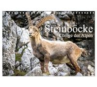 Ibexes - majestic animals of the Alps UK-Version (Wall Calendar 2026 DIN A4 Landscape), CALVENDO 12 Month Wall Calendar