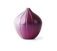 IBILI ONION GUARD, Plastik, 30 x 11 x 12 cm, Voilet