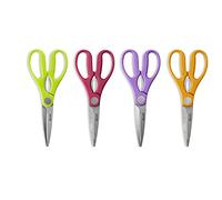 Ibili Kitchen Scissors-24 Pieces, Stainless Steel, Green, 21 x 5 x 2 cm