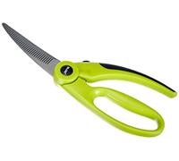 Ibili Poultry Scissors 25 cm, Silver/Green, 25 x 6 x 2 cm
