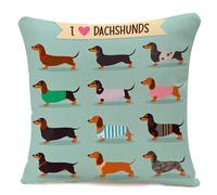 IBILIU Cute Dachshund Throw Pillow Covers 18X18,Colorful Dogs Puppy I Love Dachshunds Green Cotton Linen Cushion Cases Decorative Pillow Cases for Couch Sofa Bedroom