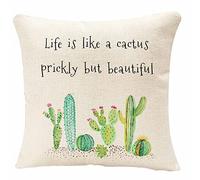 IBILIU Throw Pillow Covers Succulents Plants Cactus with Quote Life is Like A Cactus Prickly But Beautiful Cushion Pillow Case 18x18 Inches
