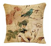 IBILIU Throw Pillow Covers Victorian Bird Paris French Botanical Rose Cushion Pillow Case Home Decor Pillowcase 18x18 Inches