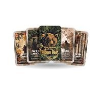 Ibiza Tarot The Oracle of the Andean Bear - A Mountain Protector Oracle Deck - 22 Oracle Cards - Guardian of Sacred Highlands