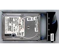 IBM 40K1044(1071) 146GB 15K HSWAP HD SAS