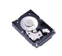 IBM 42D0410 - 300GB 15K 4GBPS E-DDM FIBER HDD