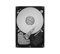 IBM 43W7622 Simple-Swap - Hard drive - 1 TB - removable - 3.5 inch - SATA-300 - 7200 rpm - for System x3100 M4, x3250 M4 (3.5 inch ), 2583 (3.5 inch )