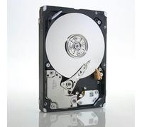 IBM 49Y2078 internal hard drive 2.5" 600 GB SAS