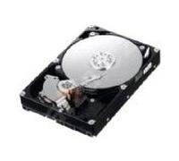 IBM 81Y9786 RR 500GB 81Y9786 SATA 7200 RPM 3.5IN 6GBPS NL G2HS HDD