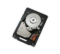 IBM ES/600G 6GbpsSAS2.5 SlimHS HDD