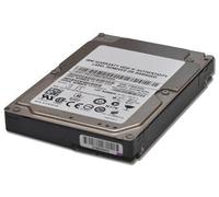 IBM Express 1TB 7.2K 6Gbps NL