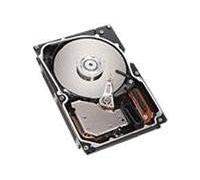 IBM - Simple-Swap - Hard drive - 250 GB - removable - SATA-300