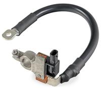Ibs & Displays Sensor Battery Management 12V Bolted (6Pk 010 942-901) OEM Hella