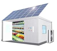 Ibuz.in Commercial Walk-in Freezer, 3x2x2m Cold Room Storage, Solar + Grid Power, -18℃ Temperature Control, PU Panels, LED Light, Auto-Defrost