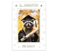 IC&G Funny Graduation Congratulations Card, Raccoon Design