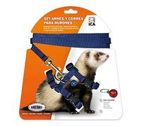 ICA DA972 Ferret Harness and Leash Set, Blue