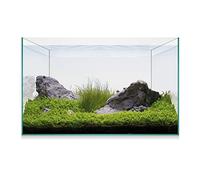 ICA KAQ20 Aquascape Basic Aquarium Kit 18 Litres, 40 x 20 x 26 cm, Waterfall Filter, Fish Feed, Conditioner, Practical Aquascaping Guide