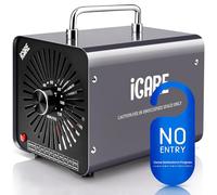 ICARE Ozone Generator 30,000 mg/h Negative Ion Generator Ozone Machine