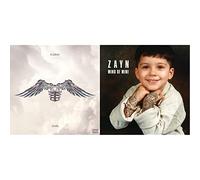 Icarus Falls & Mind of Mine