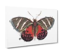 Icarus Moth By George Shaw Modern Canvas Wall Art Print Ready to Hang, Framed Picture for Living Room Bedroom Home Office Décor, 20x14 Inch (50x35 cm)