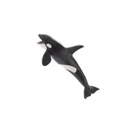 ICDKOYK Kids Collection Whale Model Action Figure Realistic Animal Toy Showcase Display Inspiring Young Imagination Kids Animal Collection Action Figure