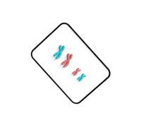 ICDKOYK Meiosis Chromosome Changes Assembly Model Kit Teaching Instrument For Observing Cell Division Process Children Scientific Experiment Biology Teaching Cell Divisions X