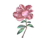 ICDKOYK Safe Guitar Note Stickers Learn Guitar Tabs Beginner Cover Original Dot Marks Music Decor Accessory Durable. Sticker Made Of PVC Inlay Sticker Guitars Fretboard Stickers, Red Flower