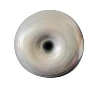 ICDKOYK Thickened Yoga Ball Multipurpose Exercise Equipment Stability Exercise Ball Heavy Duty Gym Home Gymnastics Gym Class Support Training Soft Fitness Aid