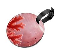 Ice-Age Moraine Tear-Resistant Luggage Tag with Concealed Information Card