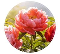 Ice-Bound Rushes Plush Accent Rug with Non-Slip Backing for Bedroom