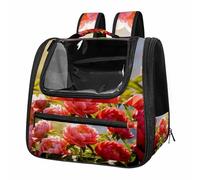 Ice-Bound Rushes TSA-Approved Airline Pet Carrier with Expandable Side