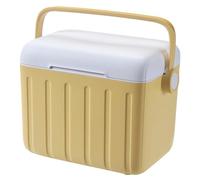 Ice Box - Outdoor Insulated Box 6L Cool Box with Cooling Elements for Camping Fishing Picnic Outdoor Work On The Bottles Meals Thermal Box