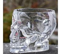 Ice Bucket, Ice Bucket with Tongs, Hard Plastic Clear Champagne Bucket for Cocktail, Halloween Buckets