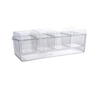 Ice Chilled Serving Tray- Garnish Salad Bar Container, Removable Compartments Salad Bar Container, Ice Chilled Party Platter For Fruit And Vegetable - 40.5x14.5x13.5cm