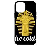 Ice Cold Gold Sphinx Egyptian Archaeology Lover Novelty Case for iPhone 12 mini