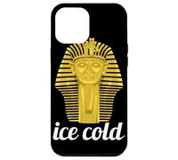 Ice Cold Gold Sphinx Egyptian Archaeology Lover Novelty Case for iPhone 12 Pro Max