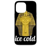 Ice Cold Gold Sphinx Egyptian Archaeology Lover Novelty Case for iPhone 13 Pro Max