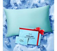 Ice Cooling Pillowcase for Hot Sleepers, Instantly Cool, Stays Cold All Night, Softer Than Silk Pillow Cases, Pillow Covers with Invisible Zipper, Gift for Men & Women - Standard, Mint Blue (1 Pack)