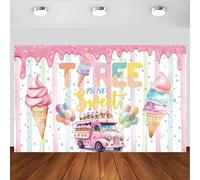 Ice Cream 3rd Birthday Party Decoration, Ice Cream 3rd Birthday Backdrop Banner, Three is So Sweet Birthday Party Supplies for Background Photoshoot Photography(Pink Three)