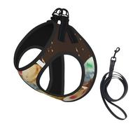 Ice Cream Compact Pet Suspender Vest-The Perfect Small Pet For A Comfortable Walk