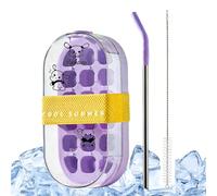 Ice Cream Flavour| Reusable 2-in-1 with Straw - Contactless Ice Cube Molder - for Kitchen Office Travel Outdoor Hiking Picnic Cocktail Party Fitness Sports