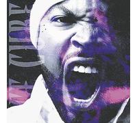 Ice Cube Dr. Dre MC Ren Chris Rock Jayo Felony Gangsta Squeak Ru Mack 10 Ms. Toi Krayzie Bone - War & Peace Vol. 2 (The Peace Disc)