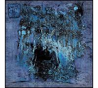 Ice Dragon - The Burl, The Earth, The Eather
