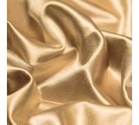 Ice Fabrics 4 Way Stretch Silky Spandex Satin Fabric by The Yard - 60" Wide Shiny Satin Spandex Fabric for Dresses, Active Wear, Yoga Pants, Table Cloth - Thick and Heavy - Champagne - 2 Yards