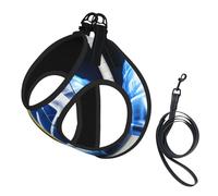 Ice Hockey Art pattern print Dog Harness and Leash Set, Reflective Adjustable Puppy Vest for Small Medium Large Dogs, Cats