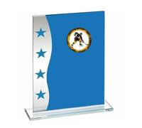 Ice Hockey Blue Glass Trophy Award 165mm free Engraving-A
