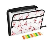 Ice Hockey Player Red Expanding File Folder A4,13 Pockets File Organiser, Paperwork A4 Plastic Wallet Document Storage Expander for School,Office and Home