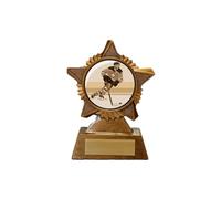 Ice Hockey Trophy Award Premier Star Antique Gold 120mm Heavy Resin Puck Ice Free Engraving -troshow1-trd-ag