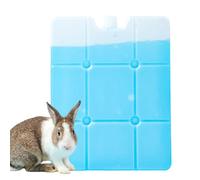 Ice Pack for Small Animals, Cooler for Rabbits | Long Lasting Cold Freezer Packs,Summer Heat Proof Ice Bags for Small Pets for Rabbits Hedgehogs