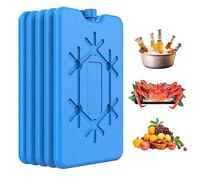 Ice Packs for Cool Box, 5Pcs Ice Packs for Cool Box 200ML Reusable Freezer Pads 16.5x11x1.5cm Cool Box Brick Ice Blocks for Travel Picnic Lunch, Car, Schools and Office, Ice Blocks for Cool Bags